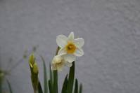20100401_0.jpg