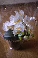 20100817_0.jpg